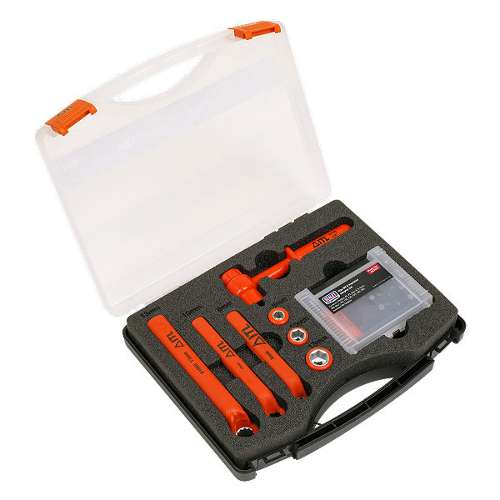 Hybrid & Electric Vehicle Battery Tool Kit 19pc