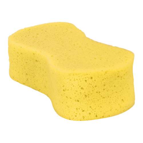 Large Sponge