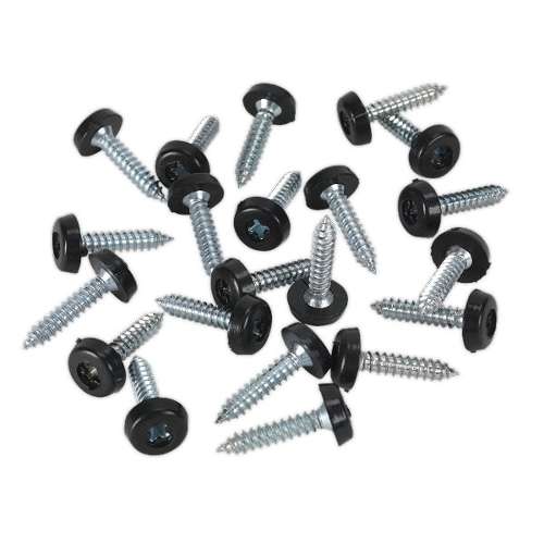 Numberplate Screw Plastic Enclosed Head 4.8 x 24mm Black Pack of 50