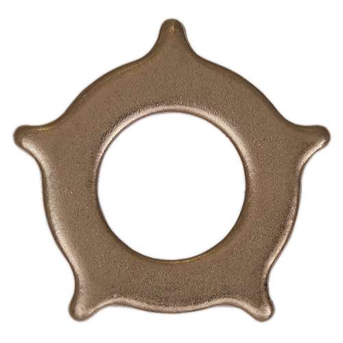 Star Washer for SR2000 Pack of 10