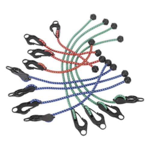 Assorted Tarpaulin Cord Set 12pc