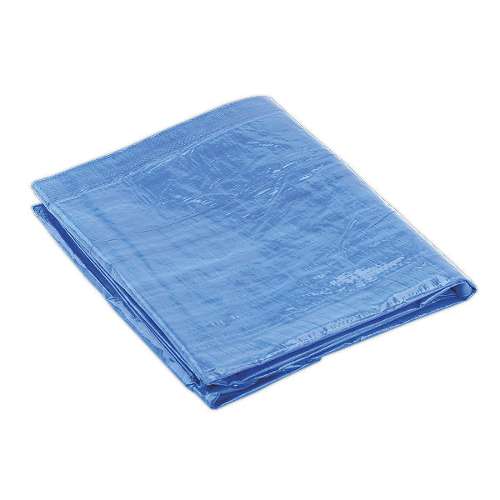 Tarpaulin 4.88 x 6.10m Blue