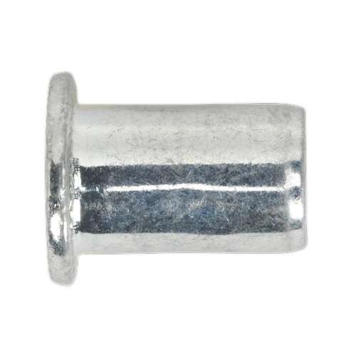 Threaded Insert (Rivet Nut) M10 Regular Pack of 50