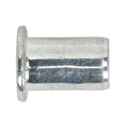 Threaded Insert (Rivet Nut) M6 Regular Pack of 50