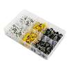 Numberplate Screw Assortment 195pc 4.8mm x 18mm - Plastic Enclosed Head