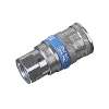 Coupling Body Female 1/4"BSP