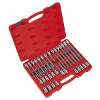 Ribe Socket Bit Set 32pc 1/2"Sq Drive