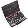 Socket Set  1/4" & 1/2"Sq Drive 108pc - Premier Platinum Series