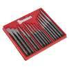 Punch & Chisel Set 16pc