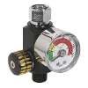 On-Gun Air Pressure Regulator/Gauge