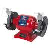 Bench Grinder & Vice Stand Deal