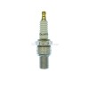 Champion Industrial Spark Plug RN79G (CCH530)