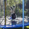 Dellonda 10ft Heavy-Duty Outdoor Trampoline with Safety Enclosure Net