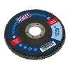 Flap Disc Zirconium &#216;100mm &#216;16mm Bore 120Grit