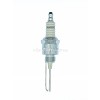 Champion Spark Plug FI21501 (CCH220)