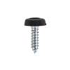 Numberplate Screw Plastic Enclosed Head 4.8 x 18mm Black Pack of 50