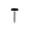 Numberplate Screw Plastic Enclosed Head 4.8 x 24mm Black Pack of 50