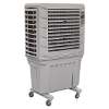 Commercial Portable Air Cooler